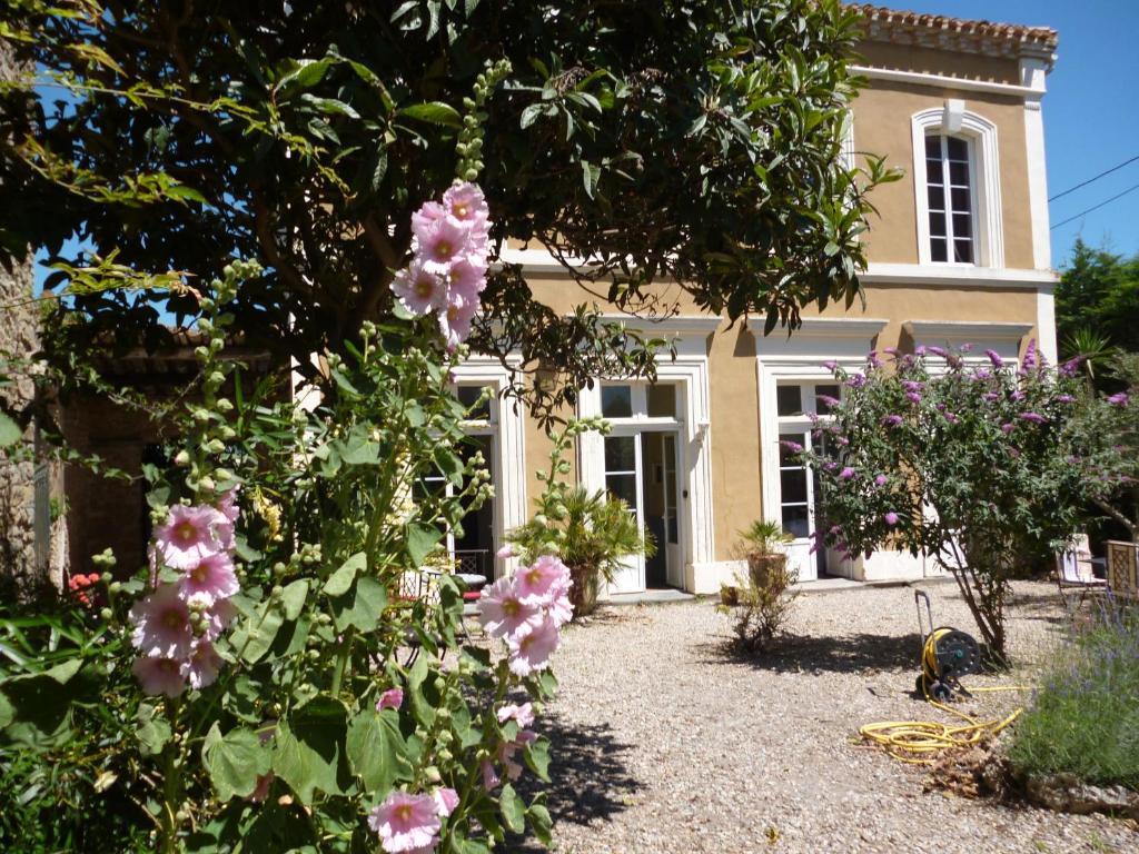 La Maison Des Palmiers Homps  Eksteriør bilde